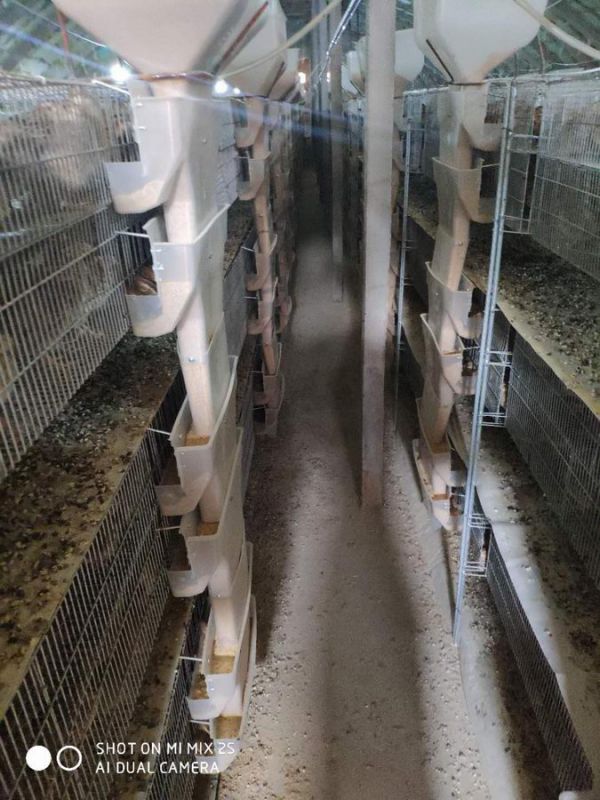 鸡笼案例