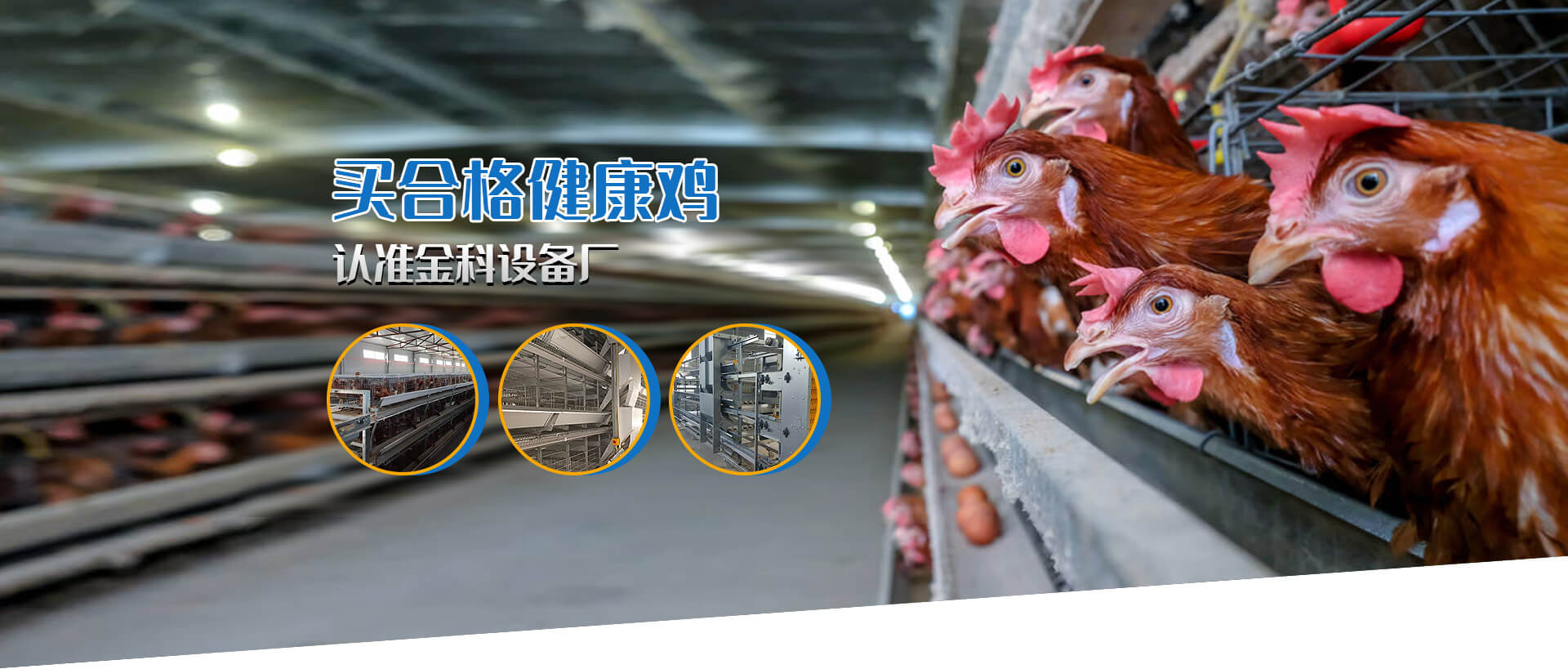 偃师市高龙镇金科养殖设备厂