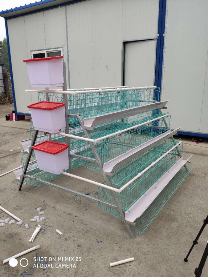 阶梯育雏笼
