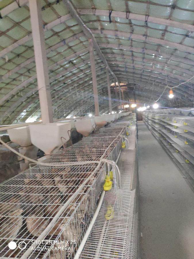 plpro20190104094955JJDEE